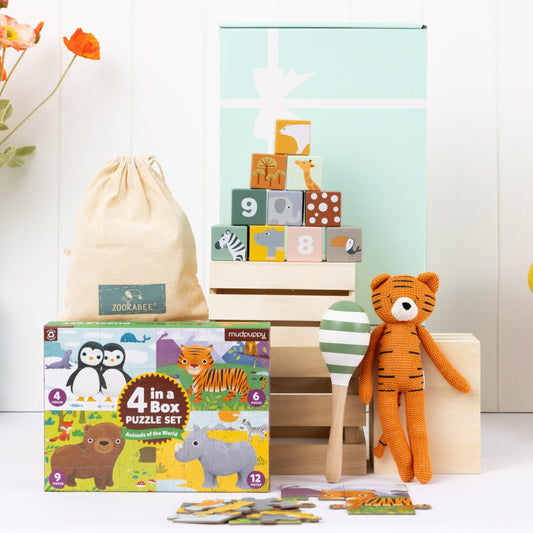 Safari Fun Kids Hamper